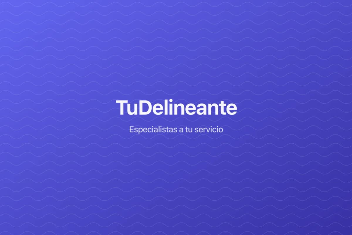 Asesoramiento profesional